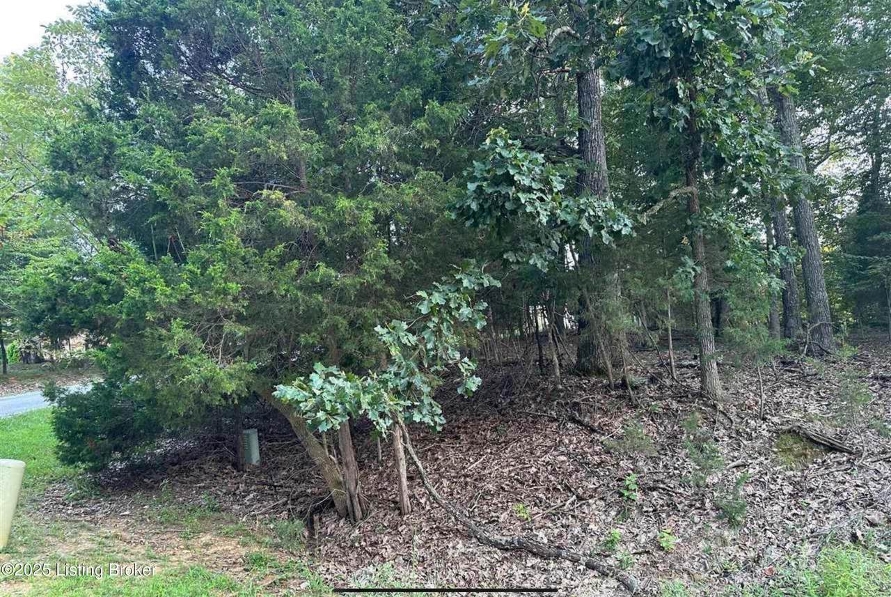 539 Strawberry Hill Drive Dr - Photo 1