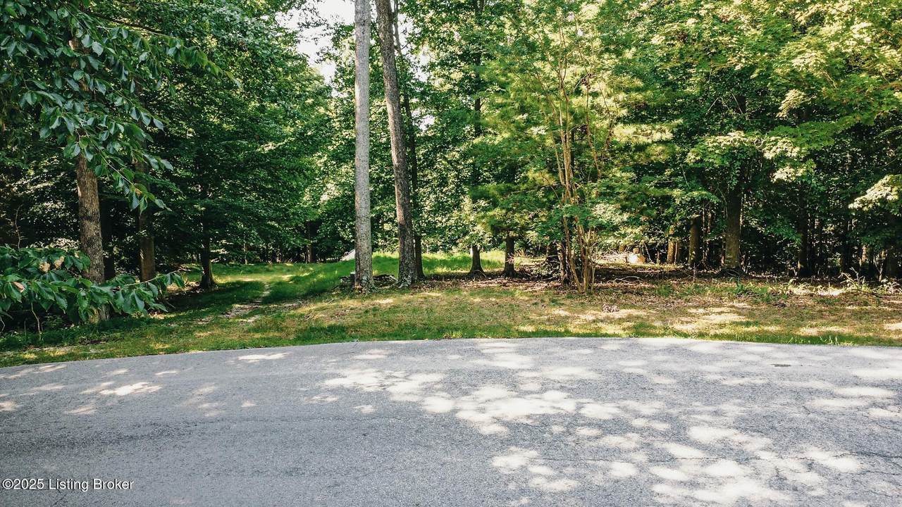 731 Camp Greenshores Ln - Photo 1