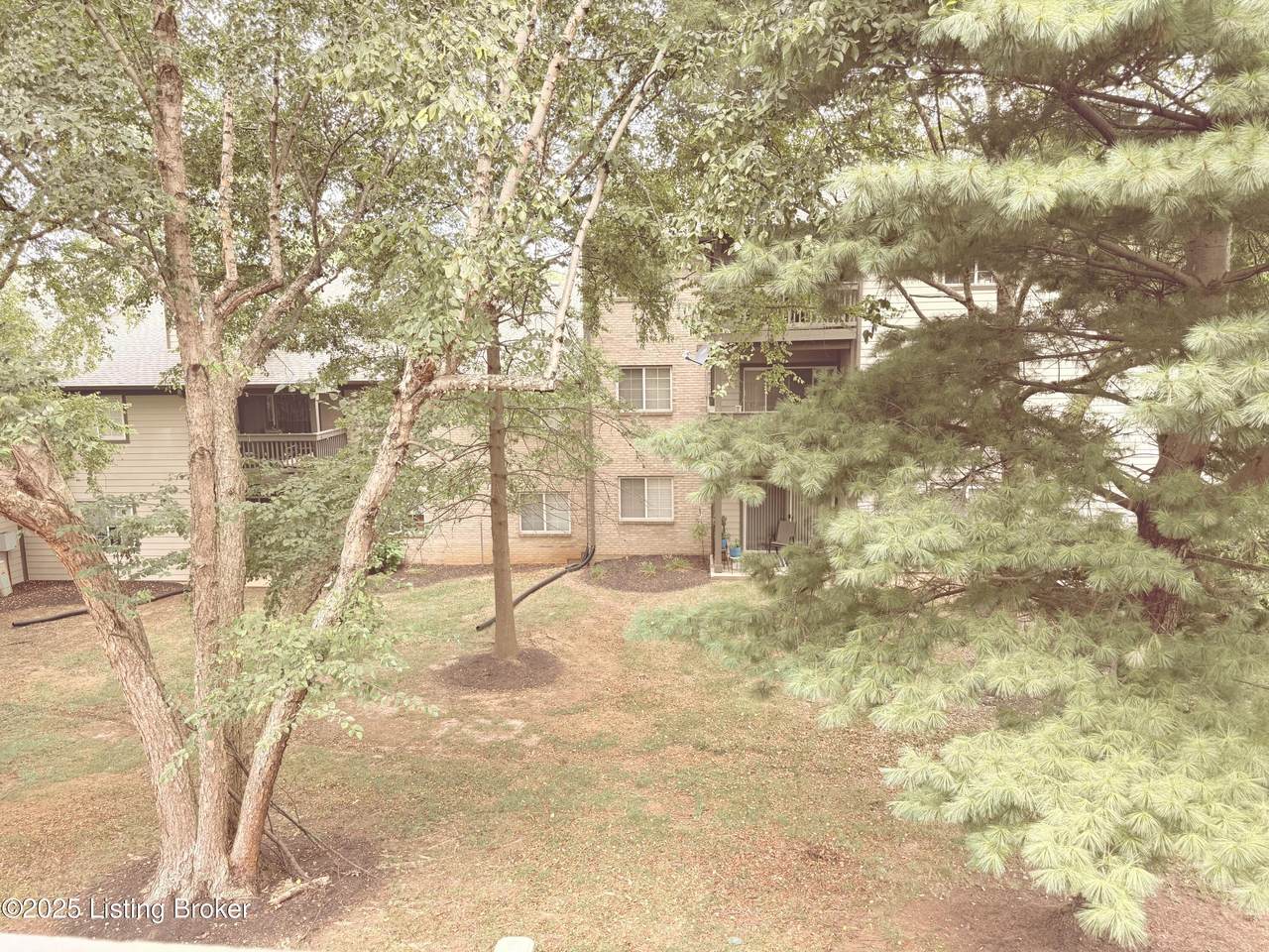 10303 Trotters Pointe Dr - Photo 1