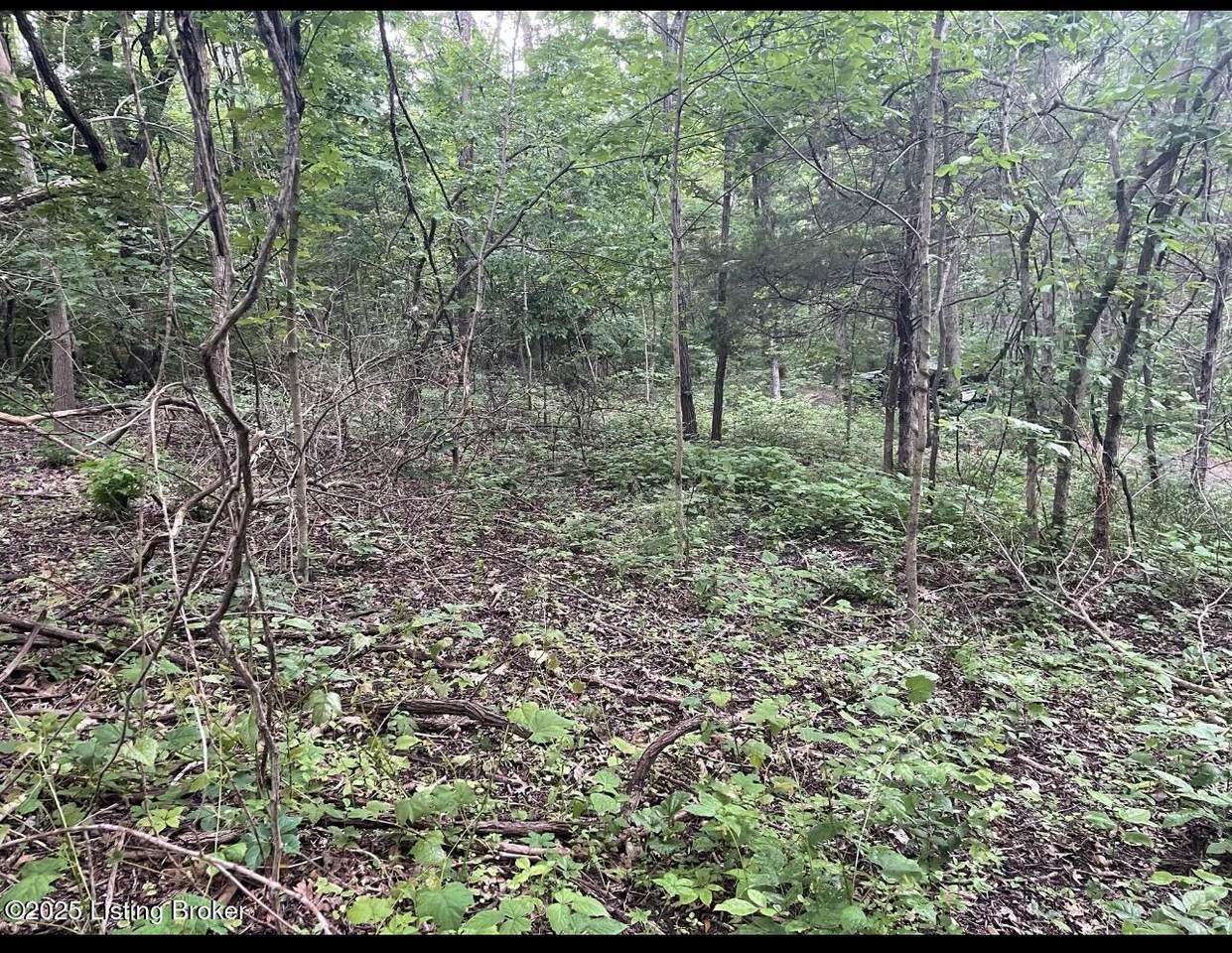 LOTS 11/12 Percy St - Photo 1