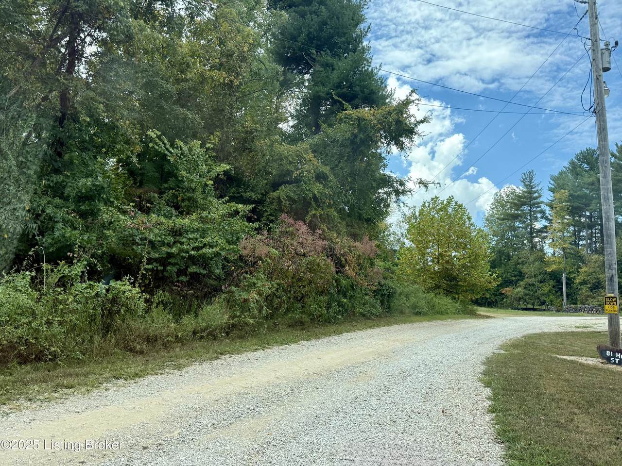 Lot 125 High St - Photo 1