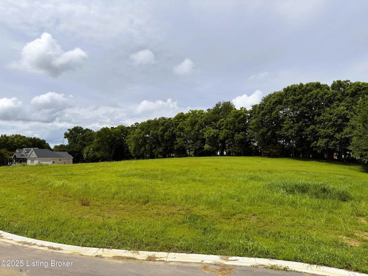 Lot 43 Eagle Vista Estates - Photo 1