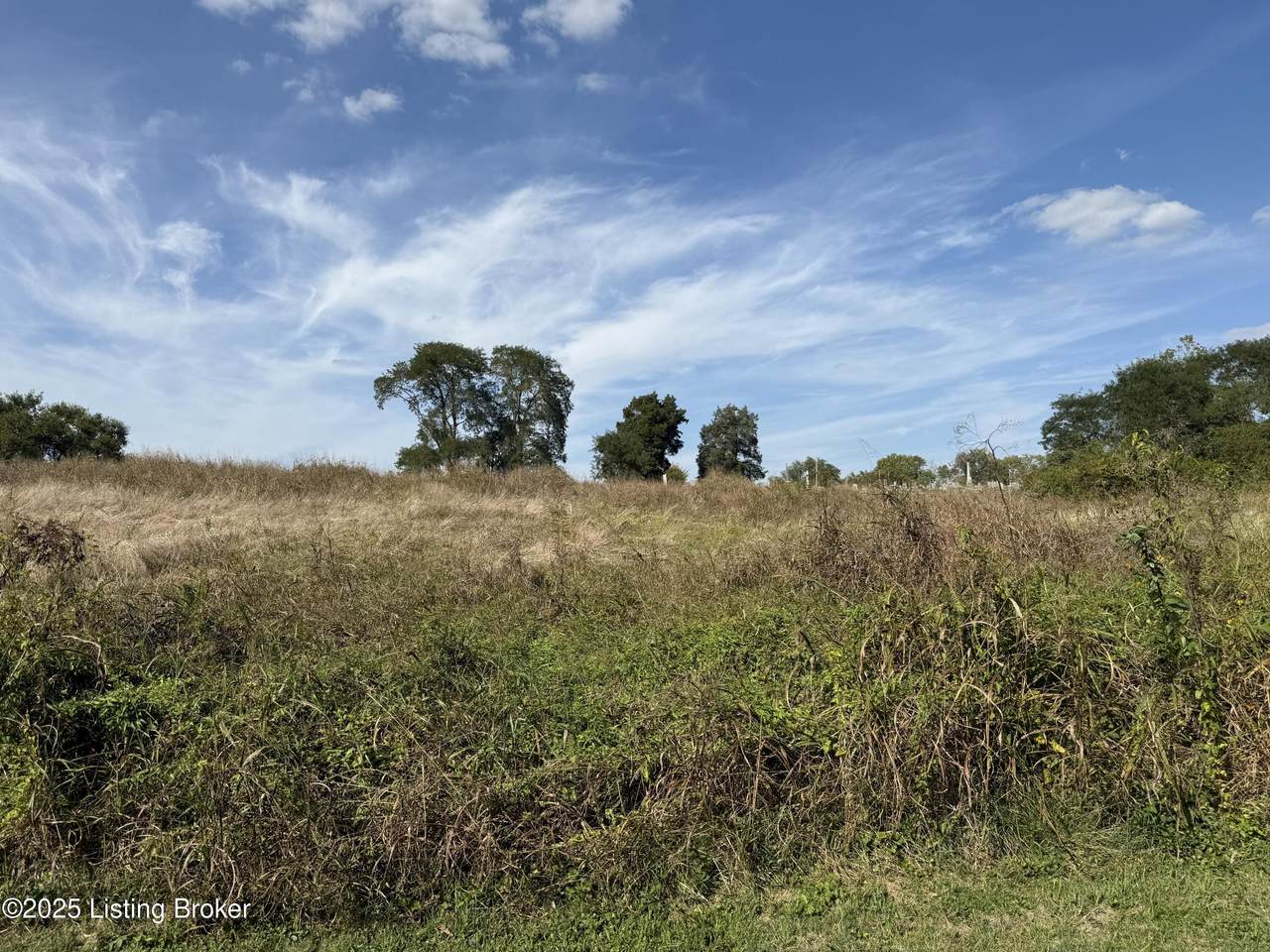 0 Decatur Ave - Photo 1