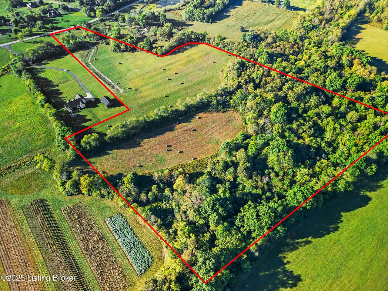 T5 Aiken Rd - Photo 1