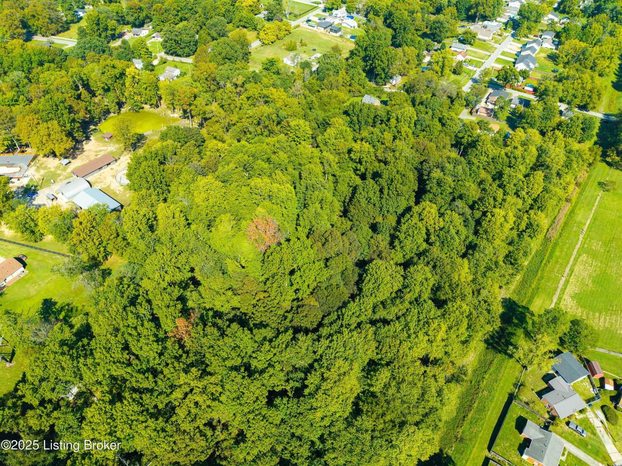 7395 Maurer Ln - Photo 1