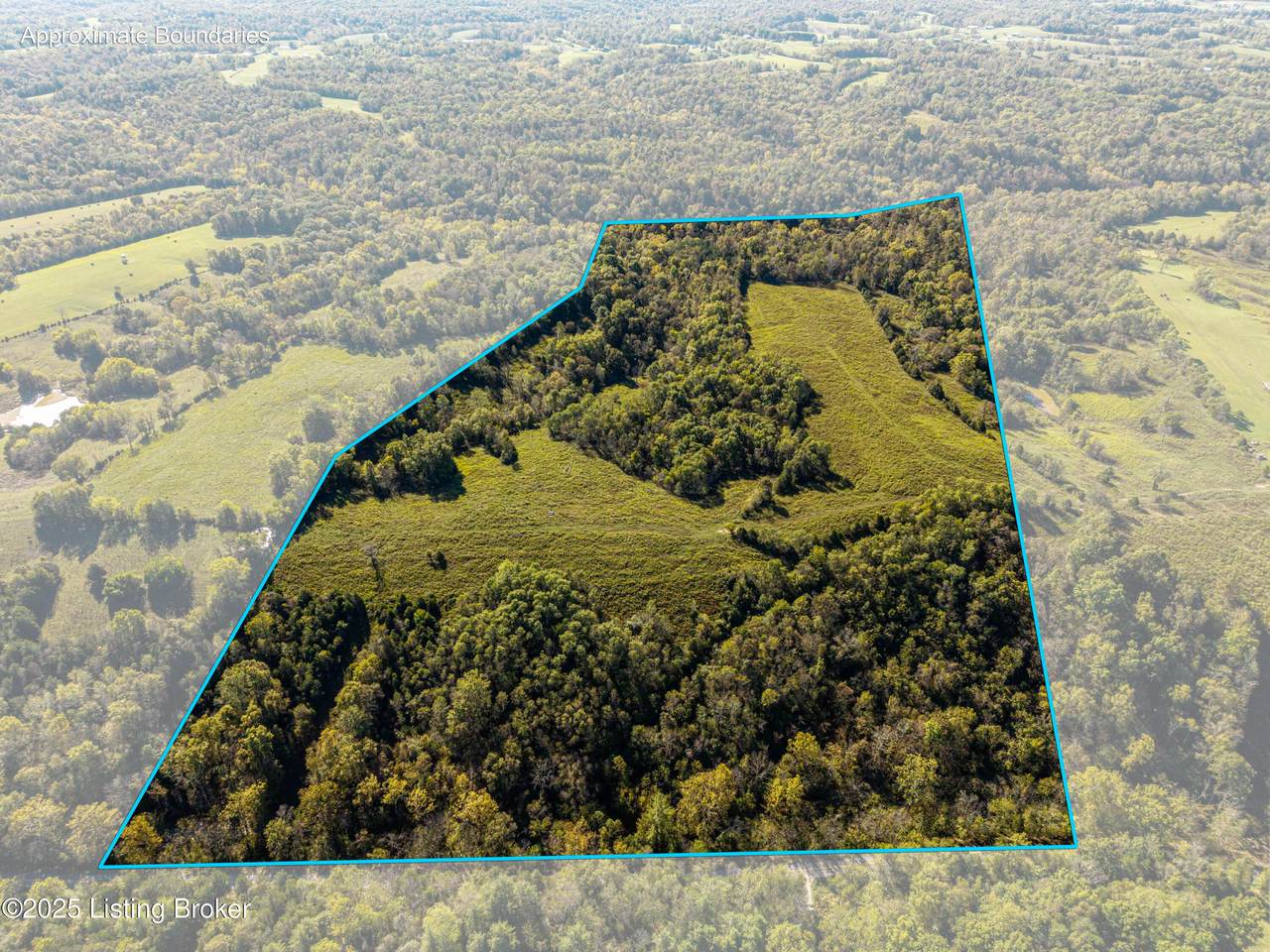 3440 Back Creek Rd - Photo 1