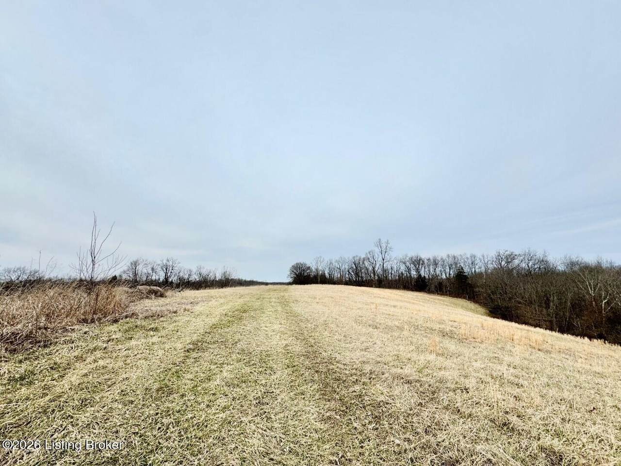 0 Brush Grove Rd - Photo 1