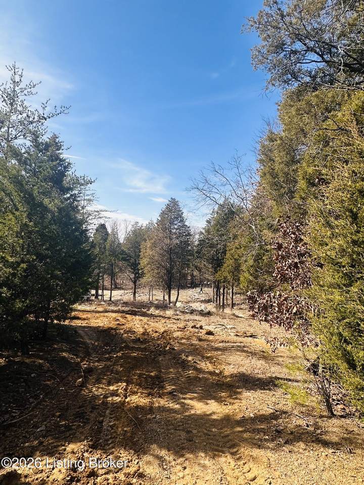 350 Cave Creek Rd - Photo 1