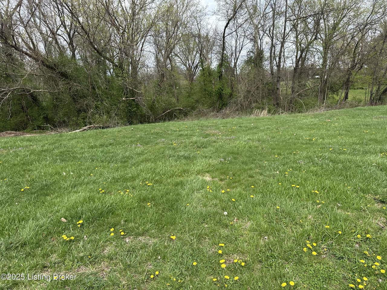 914 Woods Run Rd - Photo 1