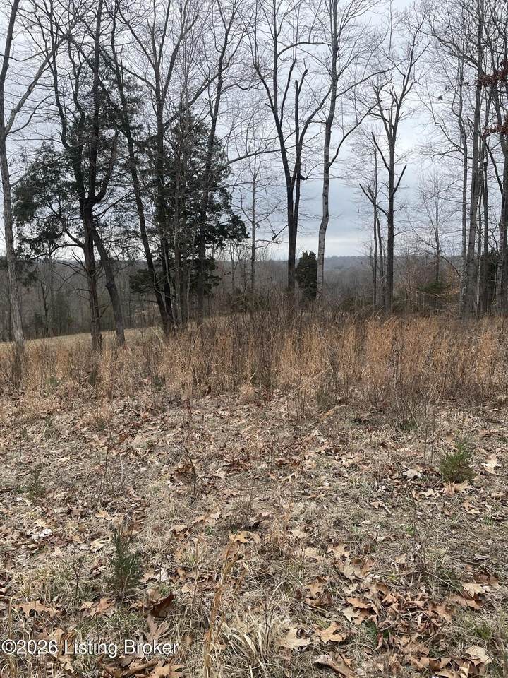 0 Sylvan Circle - Photo 1