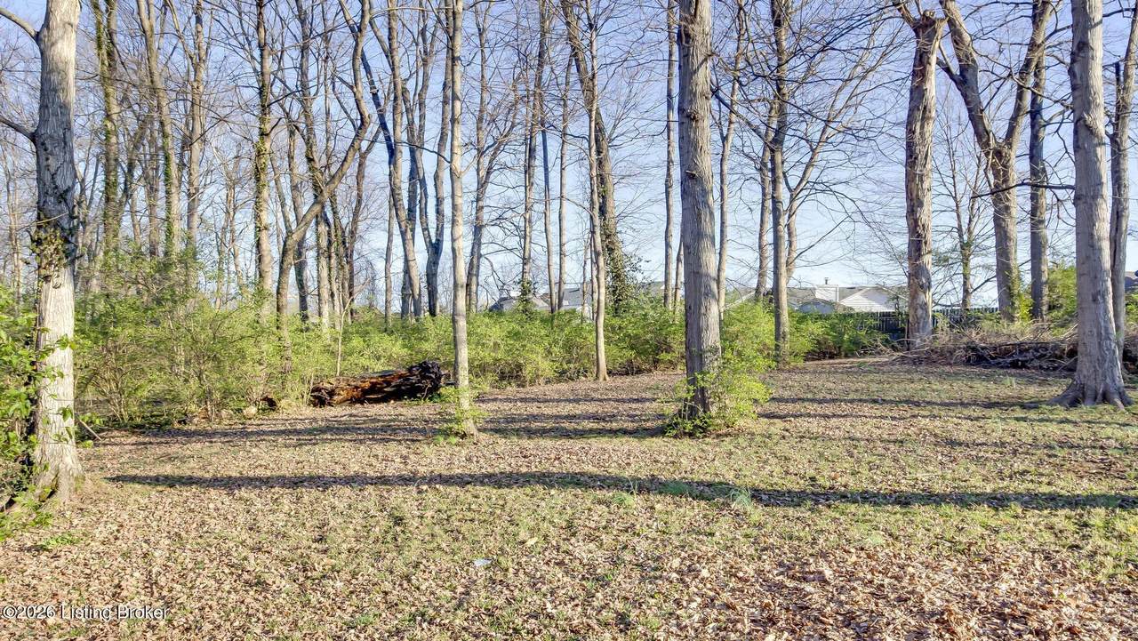 4648 Lor Ann Ave - Photo 1