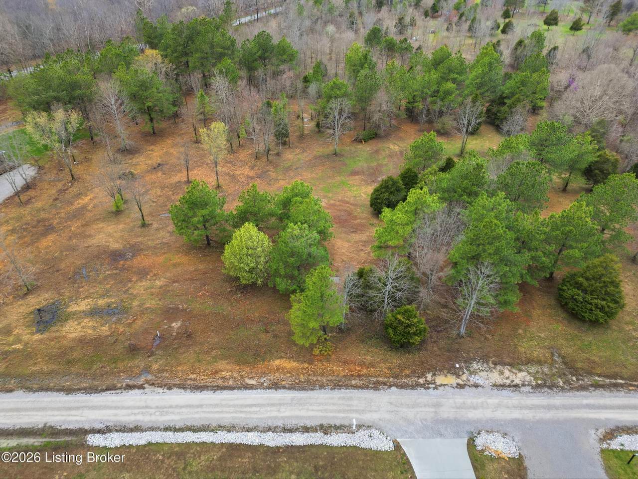 Lot 1C Pine Trail - Photo 1