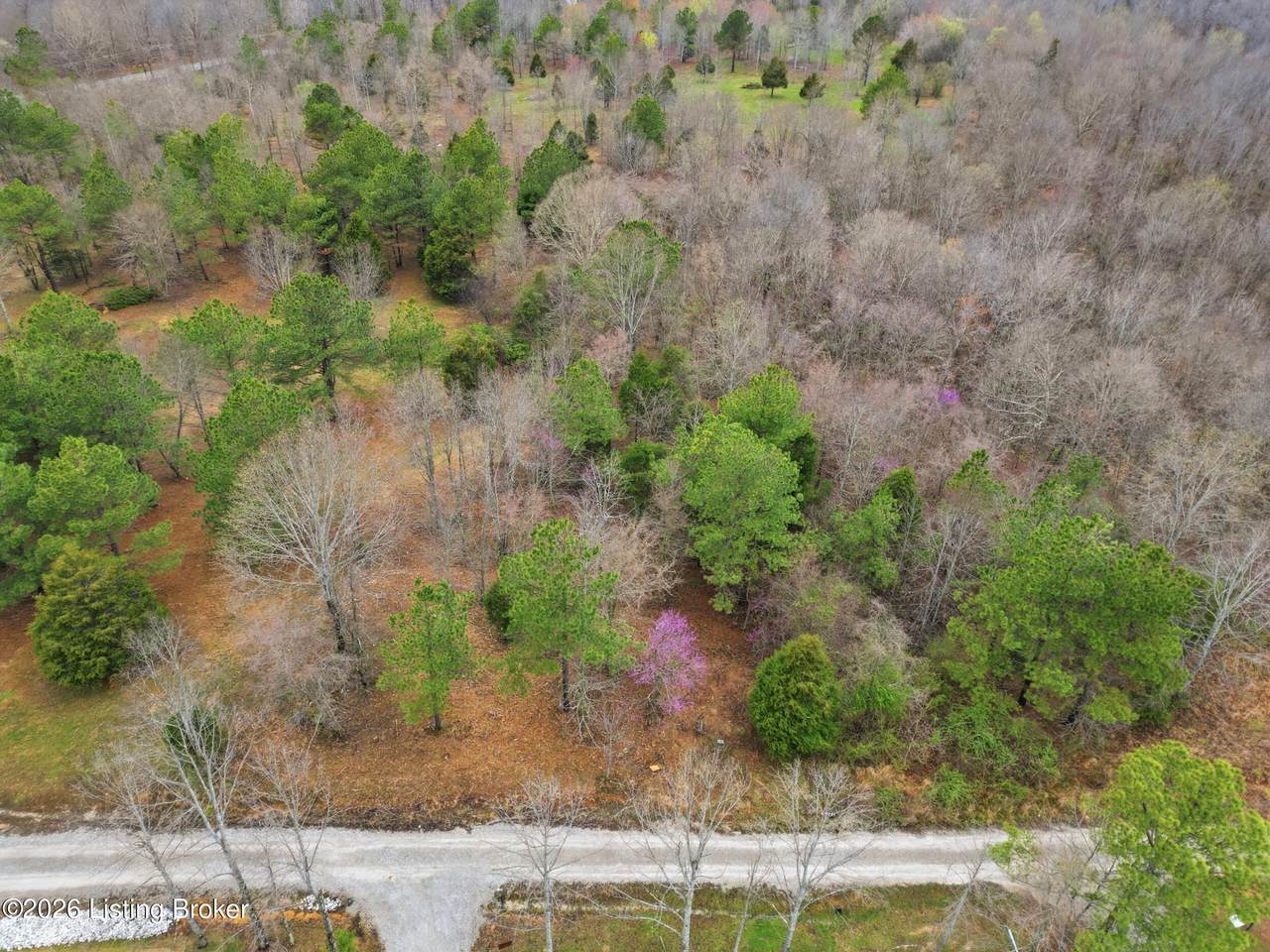 Lot 2 Pine Trail - Photo 1