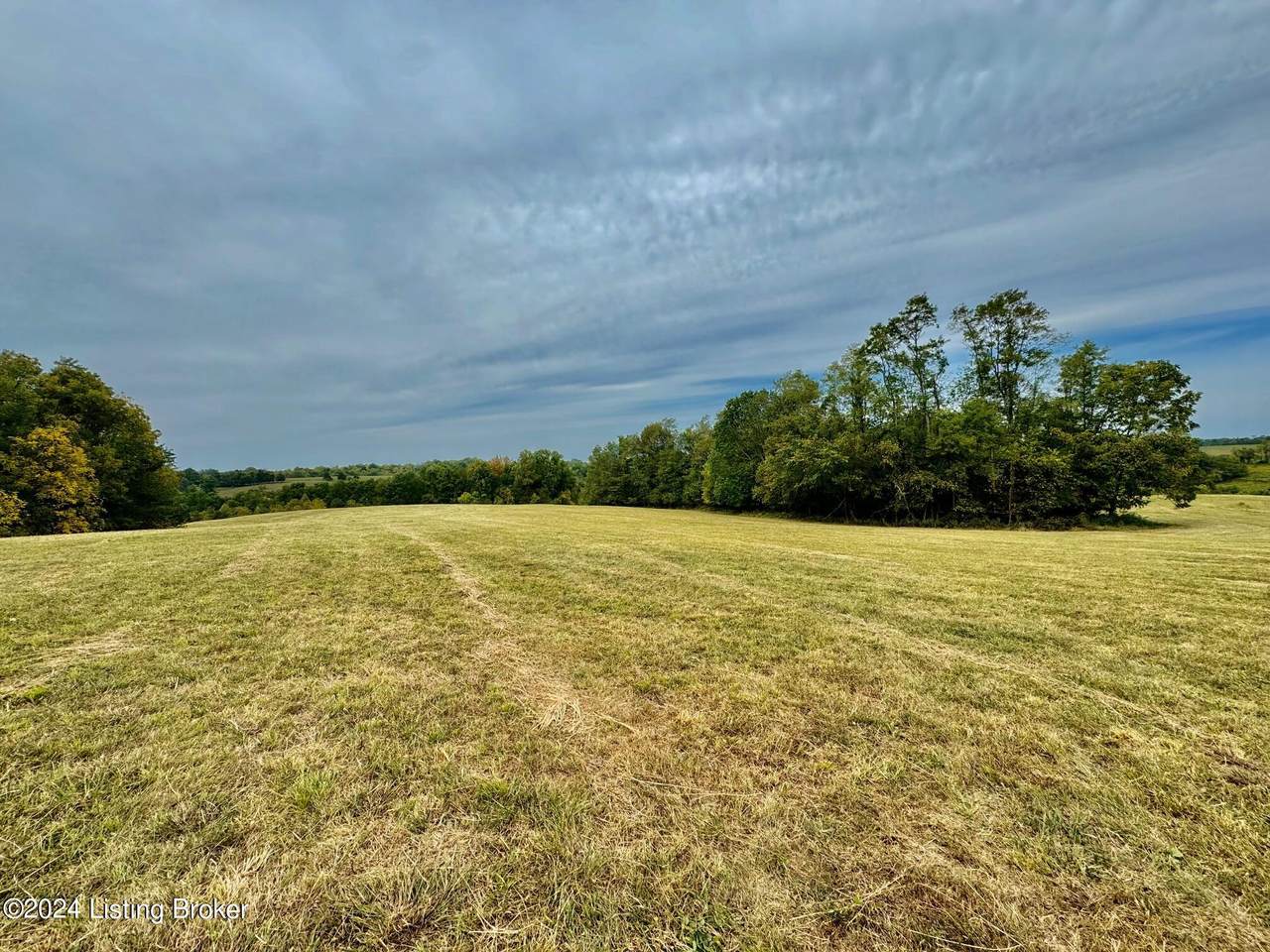 12 Hillsboro Ln - Photo 1