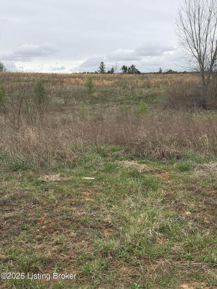 177 Diamond Ct - Photo 1