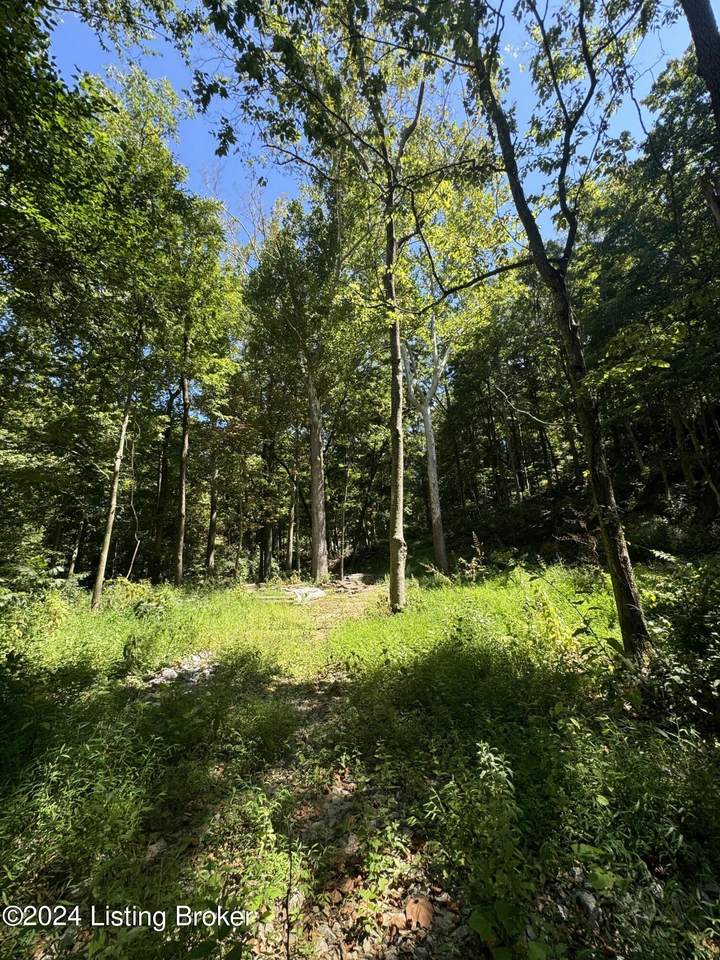 Lot 13 Rose Island Rd - Photo 1