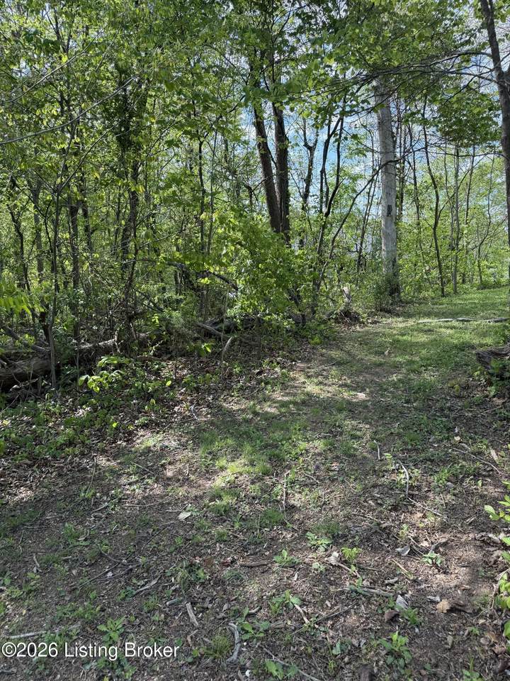 https://bt-photos.global.ssl.fastly.net/louisville/1280_boomver_1_1715456-2.jpg