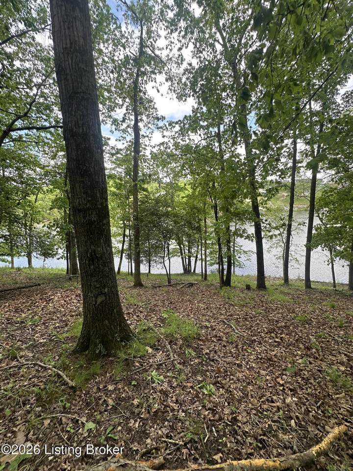 https://bt-photos.global.ssl.fastly.net/louisville/1280_boomver_1_1716122-2.jpg