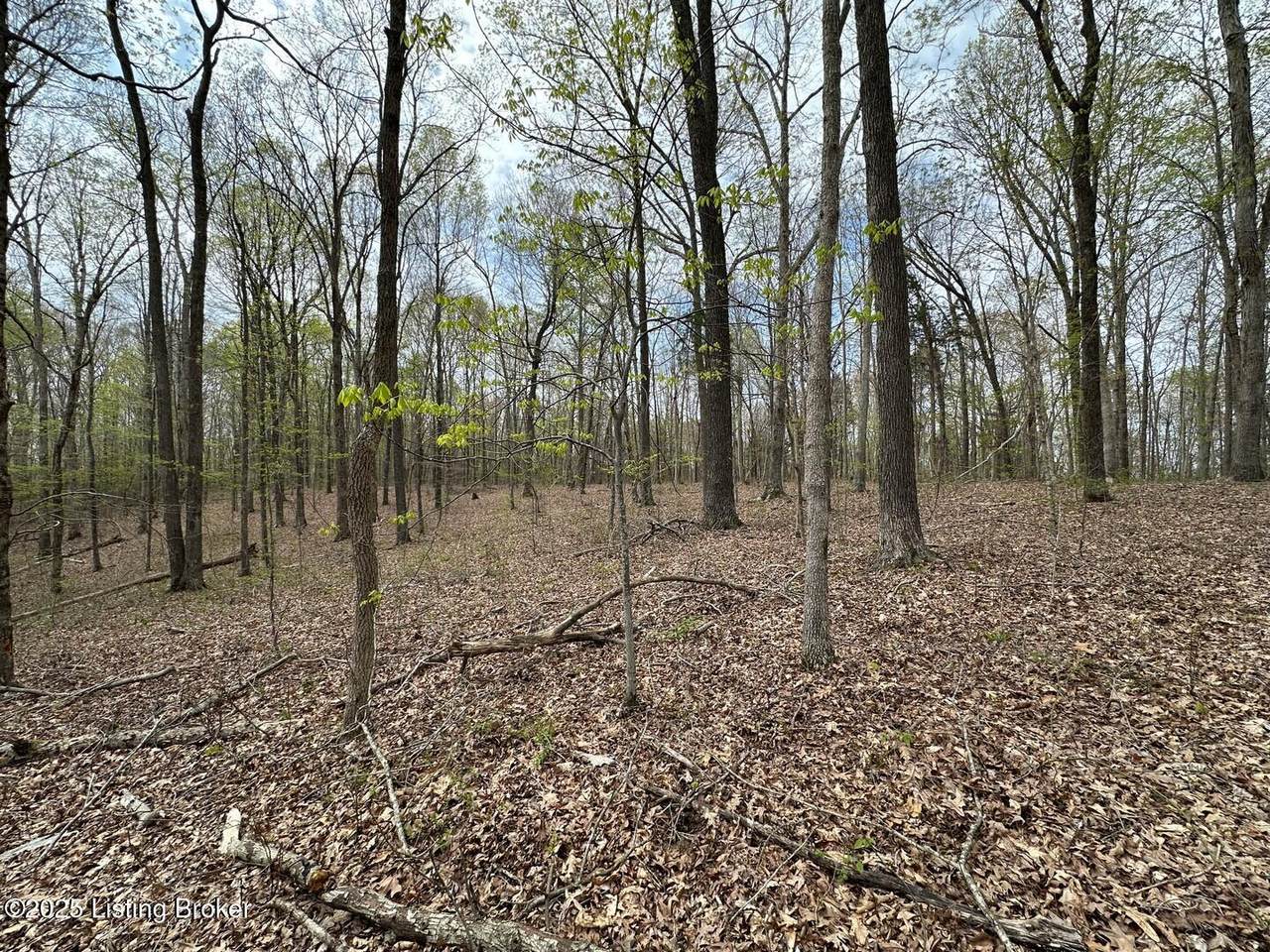 https://bt-photos.global.ssl.fastly.net/louisville/1280_boomver_1_1716306-2.jpg
