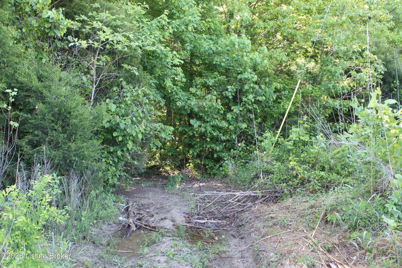 0 Ditney Hill Rd - Photo 1