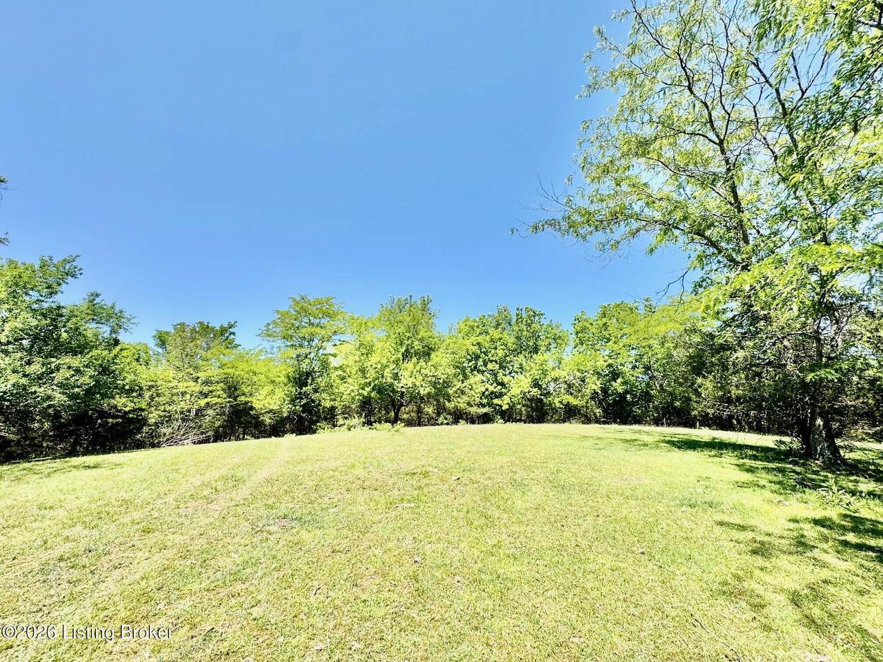 0 Three Lick Rd - Photo 1