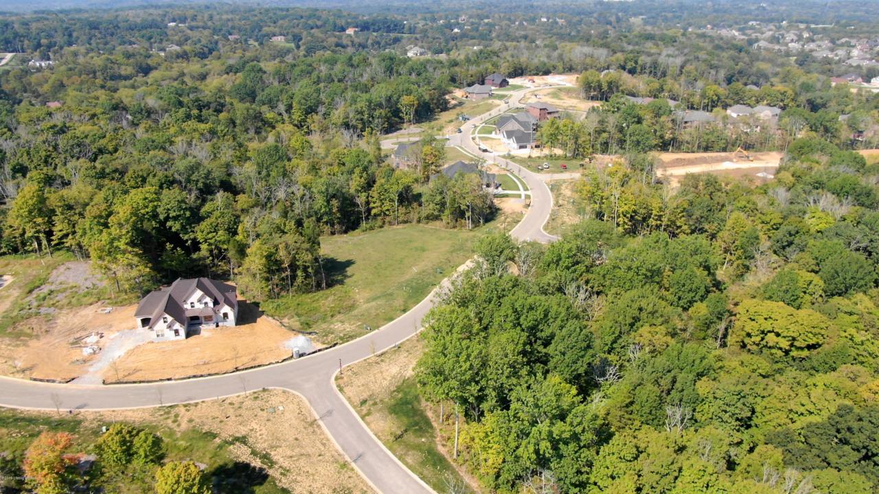 245 Shakes Creek Dr - Photo 1