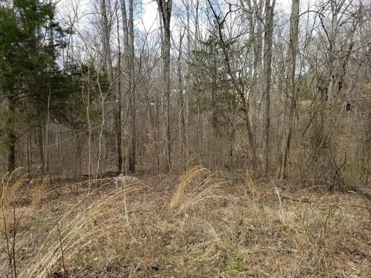 47 Christopher Ln - Photo 1