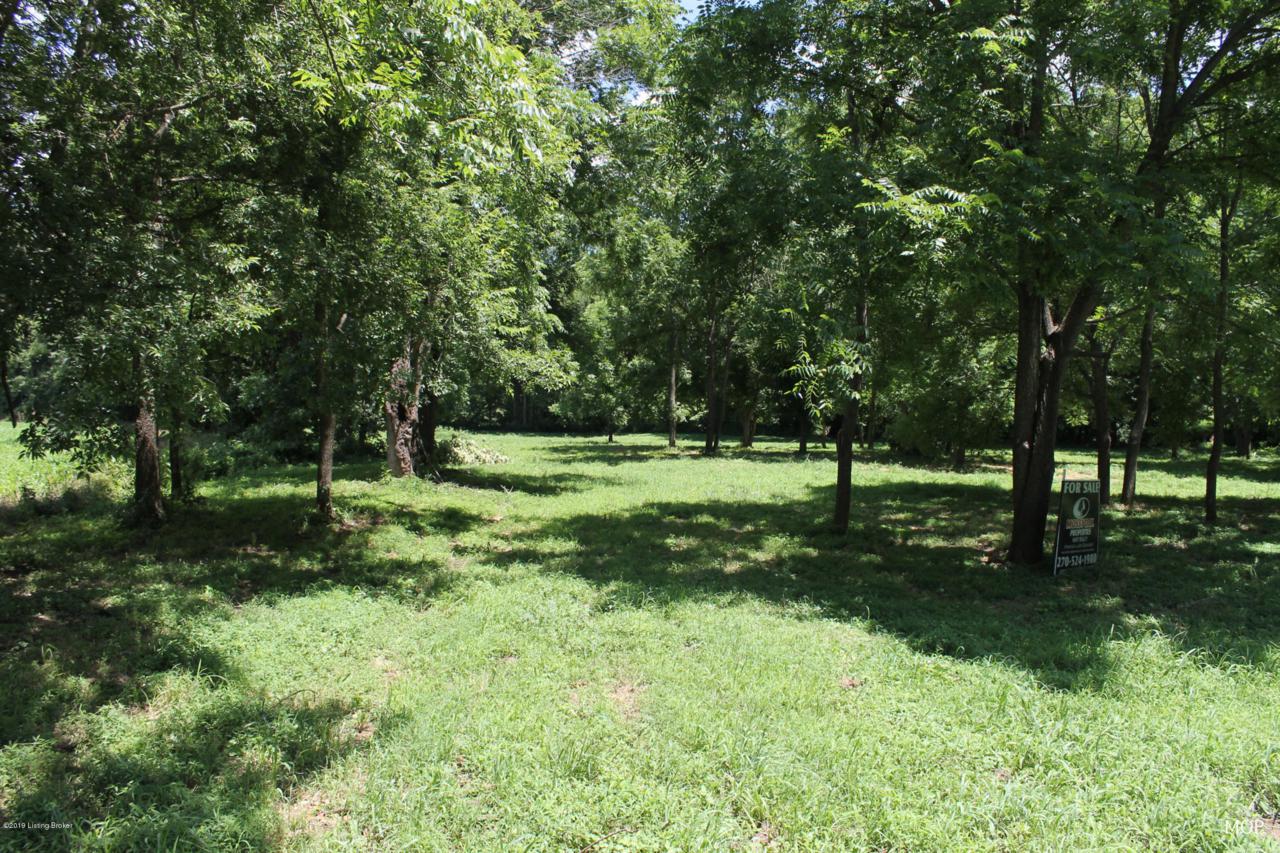 0 Thomerson Park Rd - Photo 1