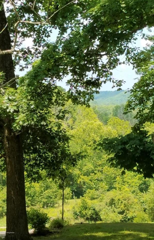 6517 Old Heady Rd - Photo 1