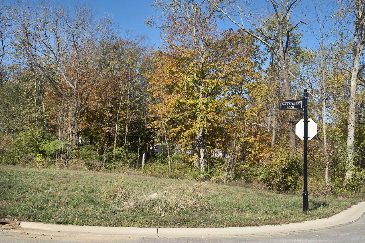 13615 Park Springs Ln - Photo 1