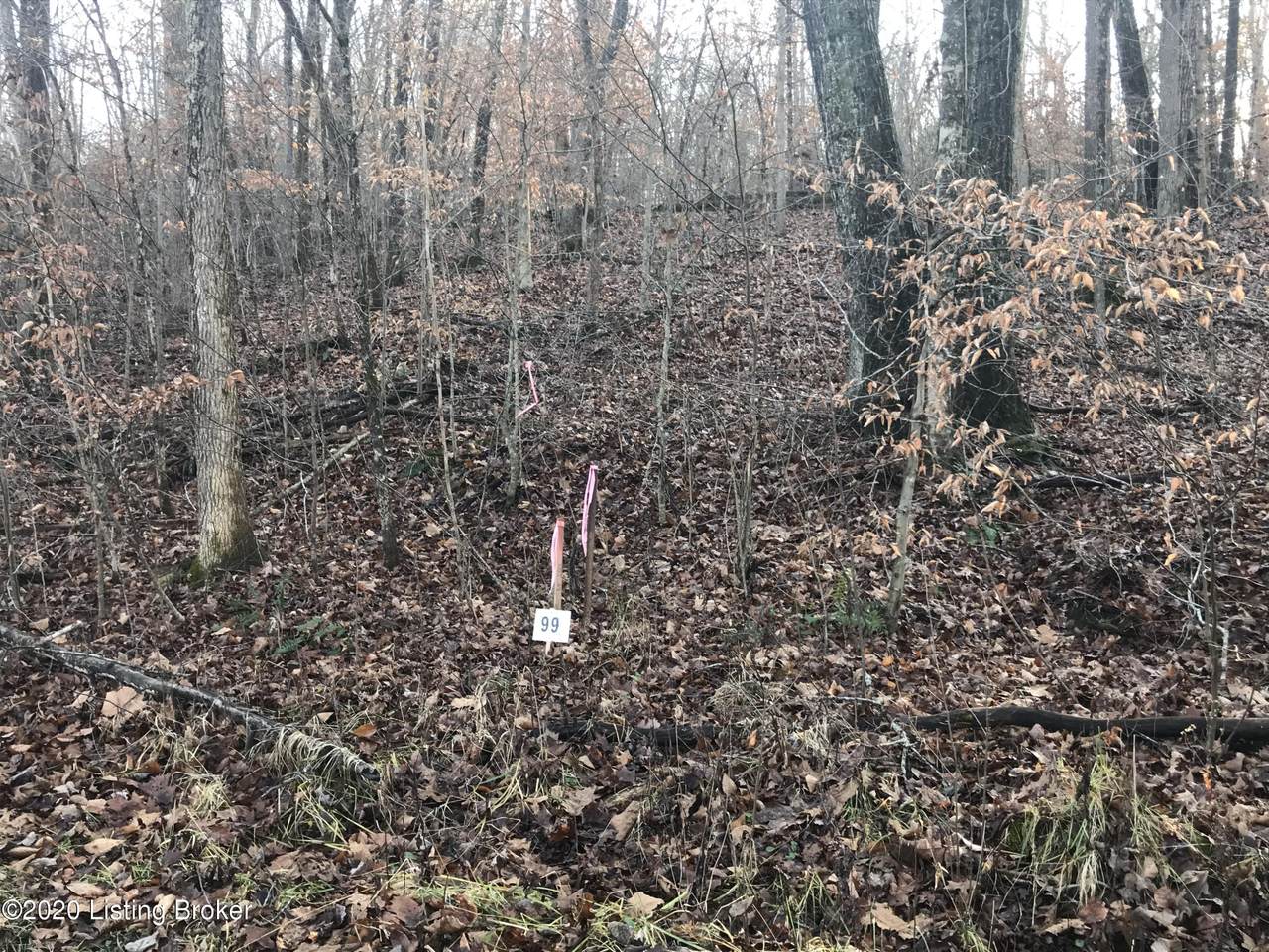 Lot 99 Gannaway Rd - Photo 1