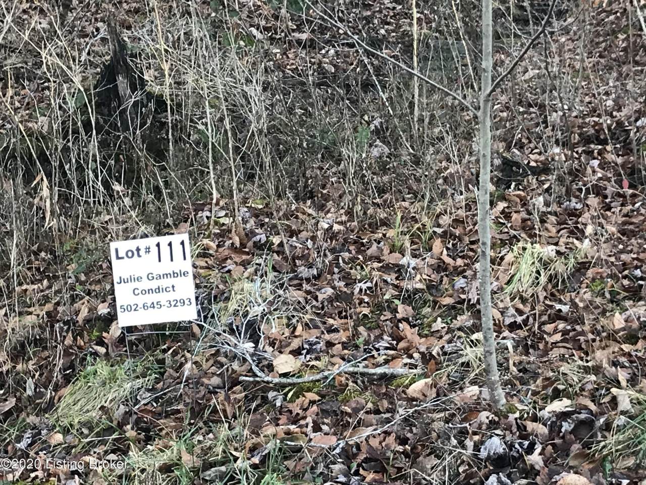 Lot 111 Gannaway Rd - Photo 1
