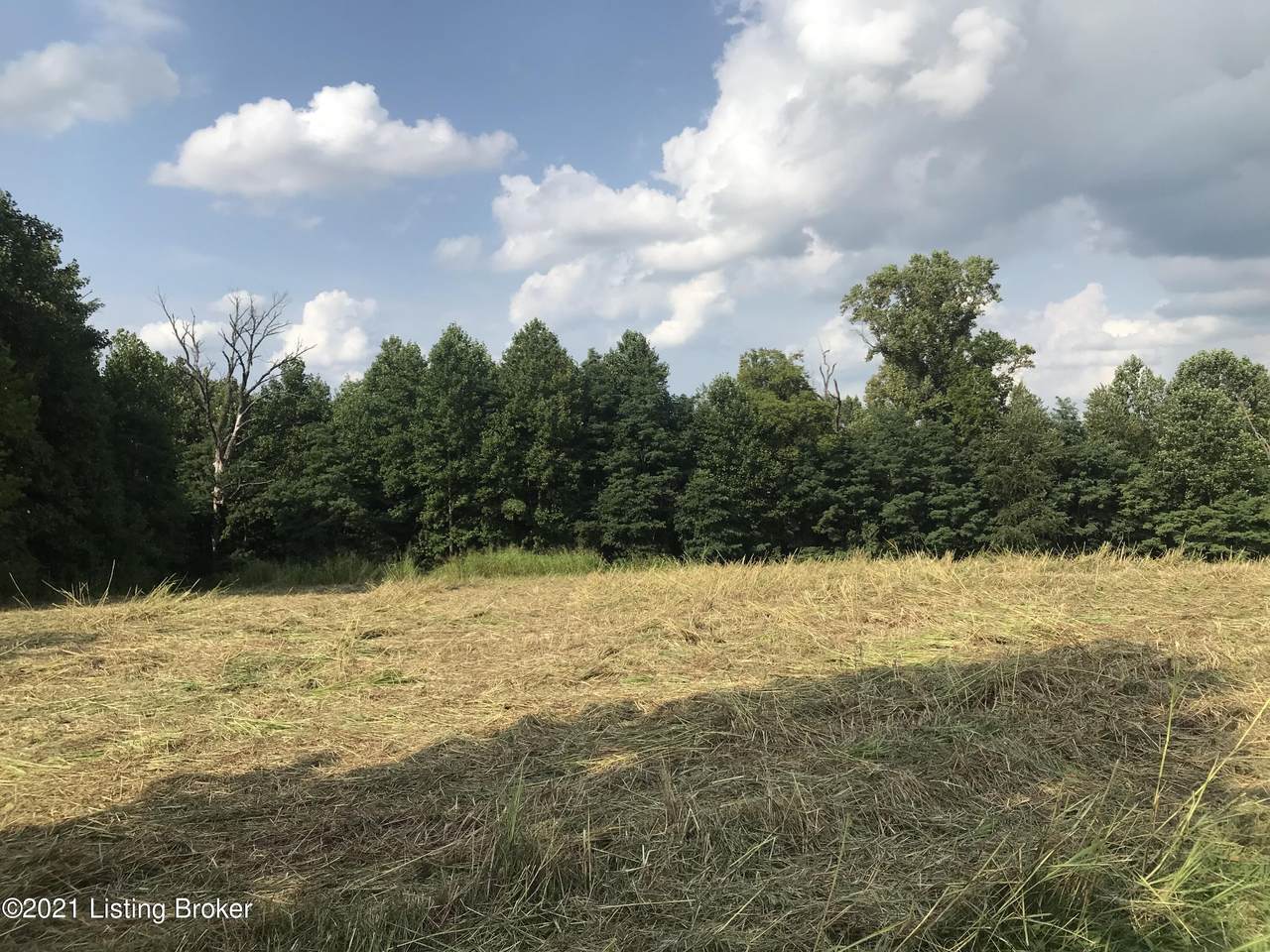 5423 Smith Haven Ln - Photo 1