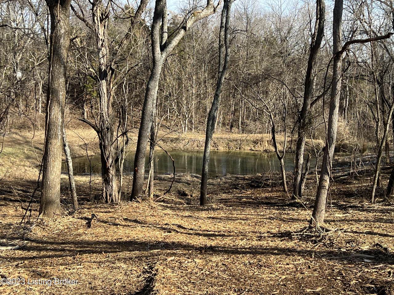 Lot 7A Dogwood Estates - Photo 1
