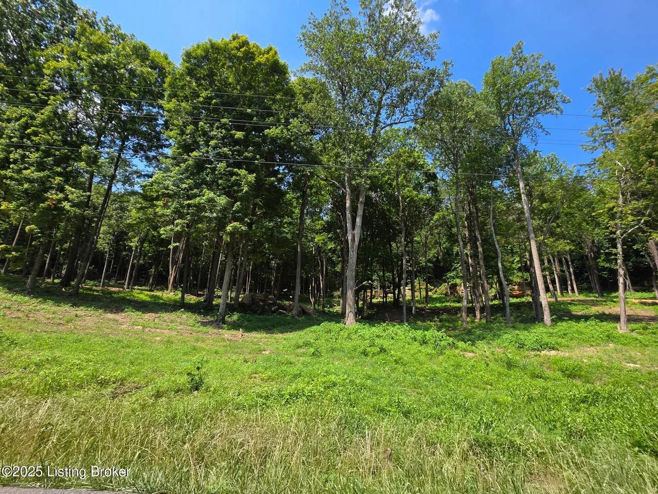 4 Cave Creek Rd - Photo 1