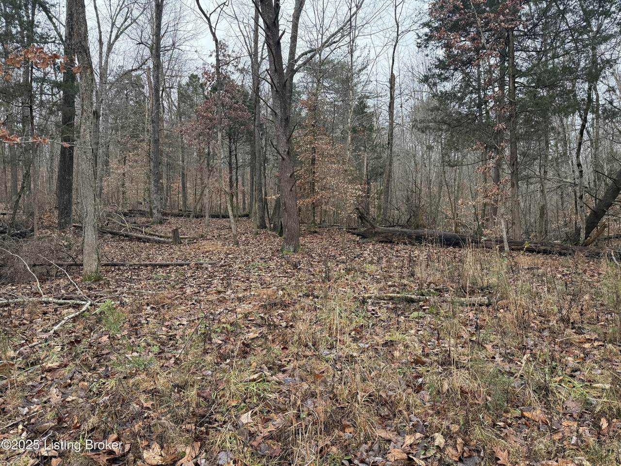 0 Rockledge Rd - Photo 1