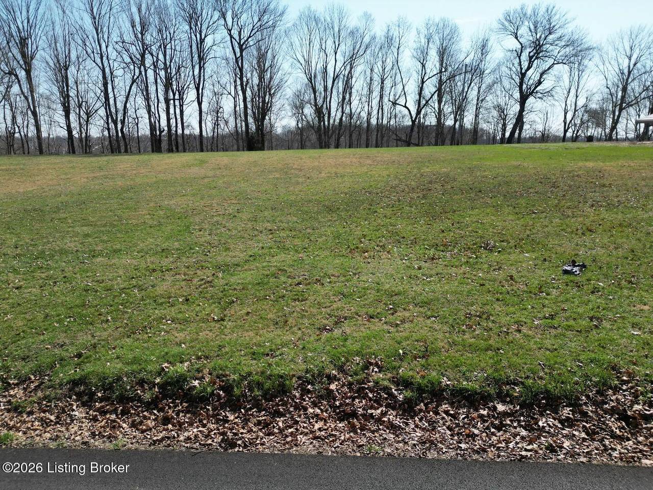1220 Thomason Cemetery Rd - Photo 1