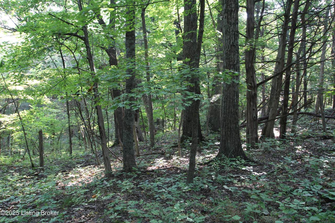 https://bt-photos.global.ssl.fastly.net/louisville/1280_boomver_2_1711805-2.jpg