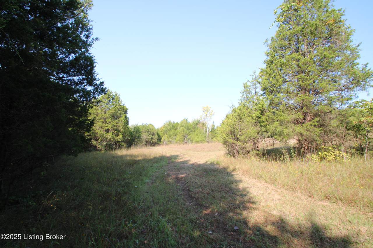 https://bt-photos.global.ssl.fastly.net/louisville/1280_boomver_2_1711805-2.jpg