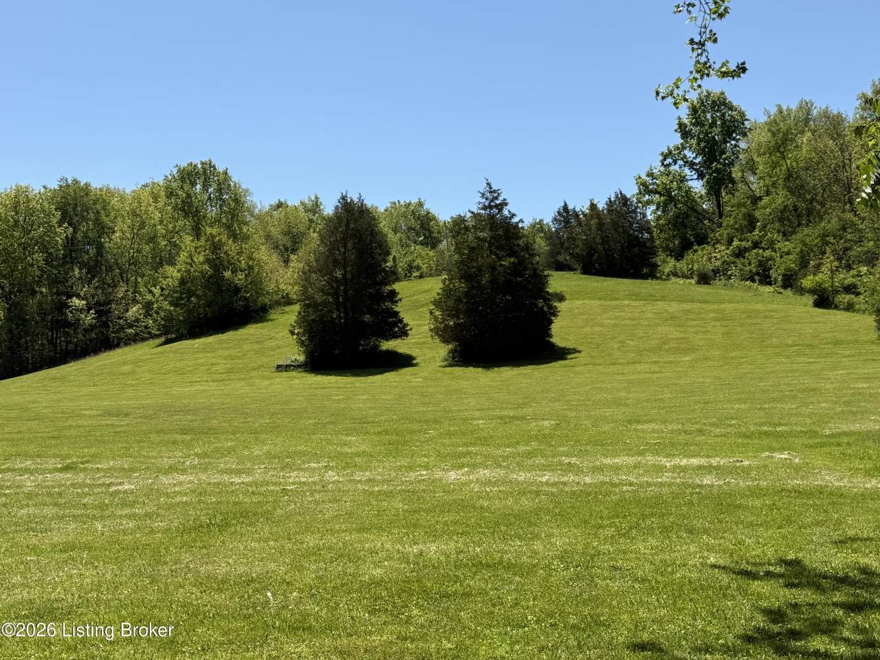 Tract 3&4 Pea Ridge Rd - Photo 1
