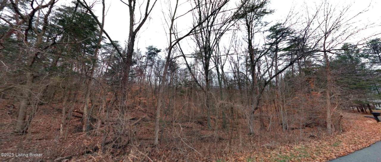 149 Doewood Ln - Photo 1