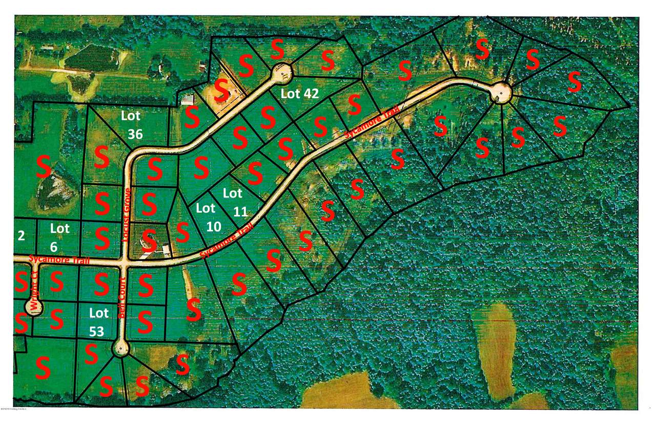 36 Locust Grove Trail - Photo 1
