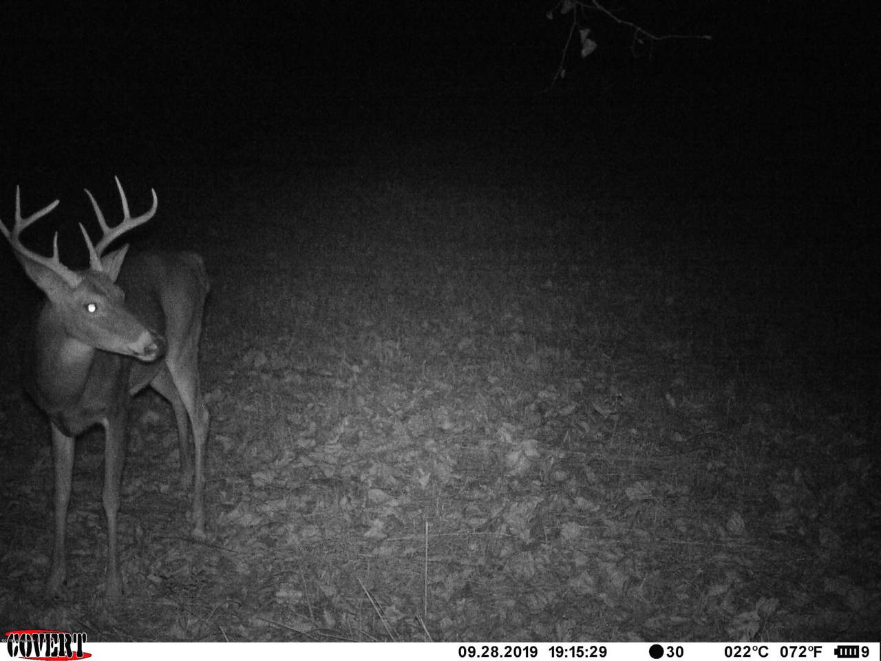 1336A Buffalo Creek Rd - Photo 1