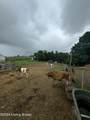 478 Willisburg Rd - Photo 16