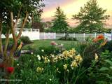 425 Brightview Dr - Photo 29