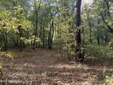 103 Laurel River Dr - Photo 10