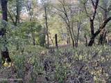 103 Laurel River Dr - Photo 16
