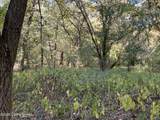 103 Laurel River Dr - Photo 18