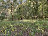 103 Laurel River Dr - Photo 19