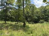 0 E Marks Ridge Rd - Photo 6